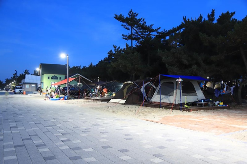 연곡해변 솔향기캠핑장 시설 사진 14