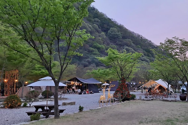 숲스토리야영장 시설 사진 5