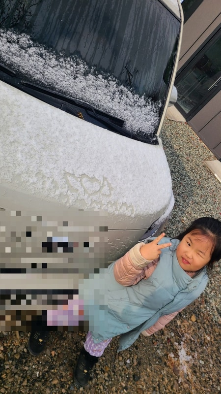 (2025.1월)광양 한달 장박 캠핑 5주차-숲내음에머물다(feat....