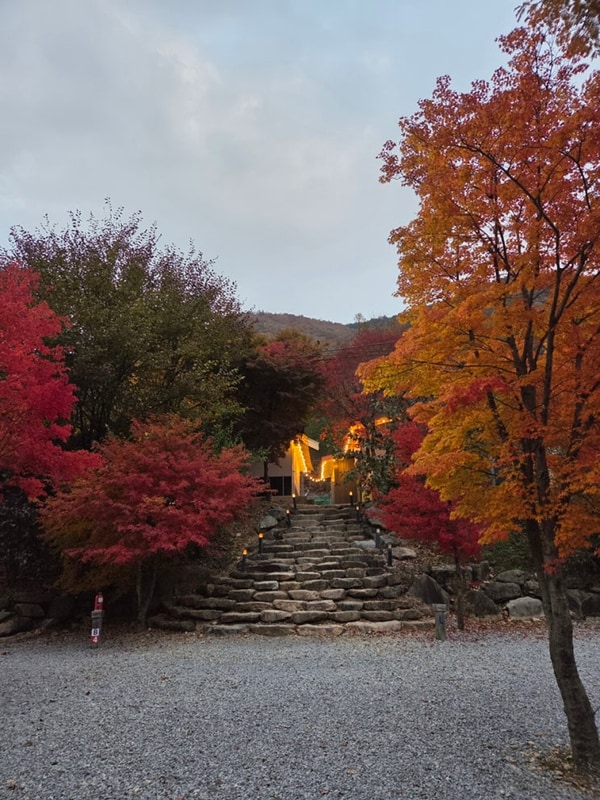문경 애견동반 캠피장 단풍이 너무 예뻤던 리우캠핑장에서...