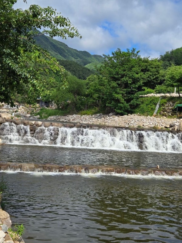 동산 계곡 군위 솔밭야영장 평상 빌릴 수 있는 곳!