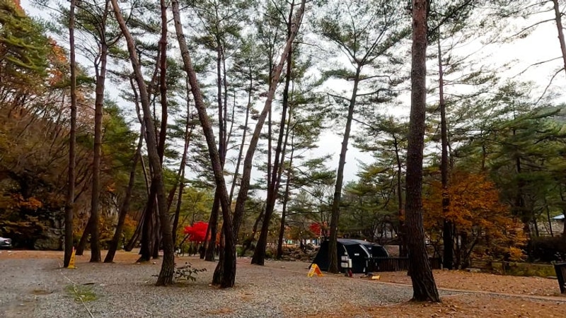 영월 여행 | 법흥계곡 최상류 산골캠핑장 7번 사이트 명당 후기...