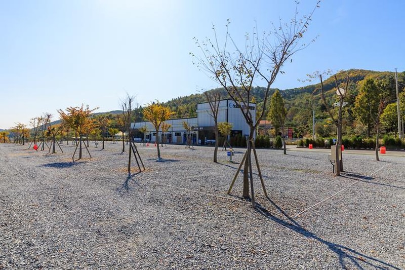 노리터 키즈 캠핑장 대표 사진