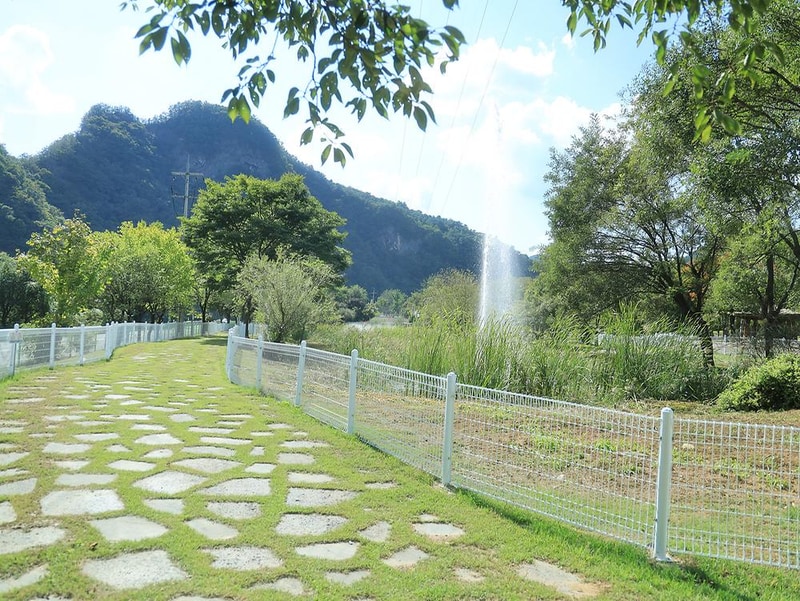 정선군생태체험학습장야영장 펫 동반 캠핑장 시설 사진 7