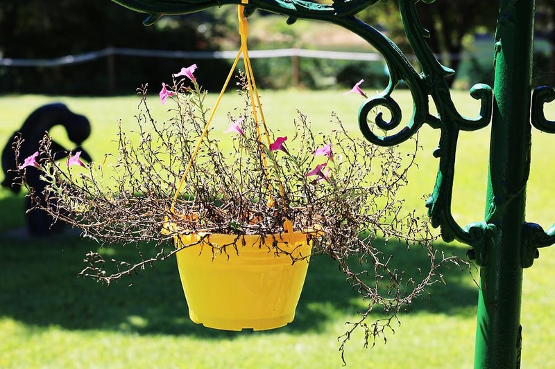 에이미캠핑장 시설 사진 6