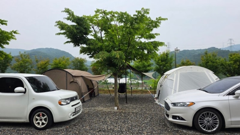 가족 캠핑 _ 진천 포레스트 캠핑장