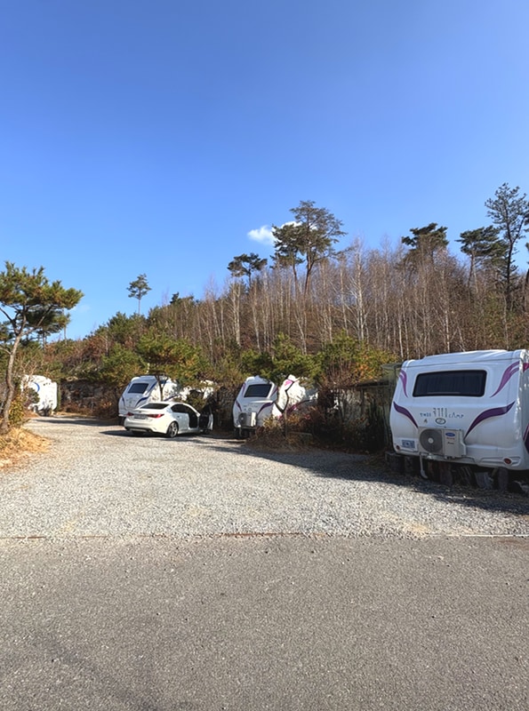 서울 근교 포천카라반 / 청계호수 자작나무 숲 캠핑장 /펜션...