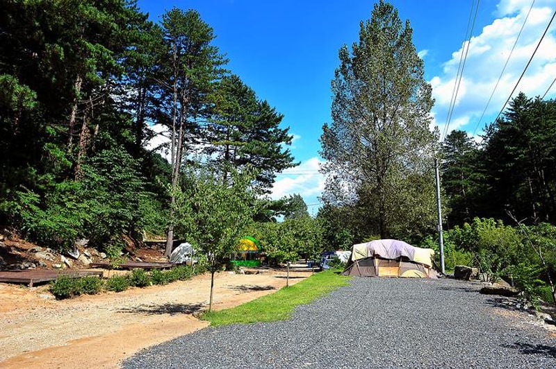 포시즌스 오토캠핑장 대표 사진