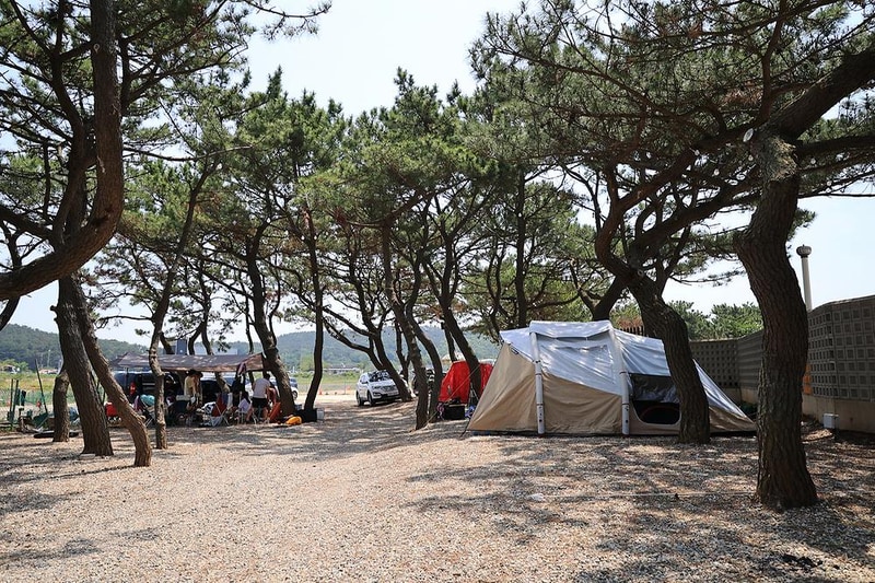 을왕리 솔트 캠핑장 시설 사진 7