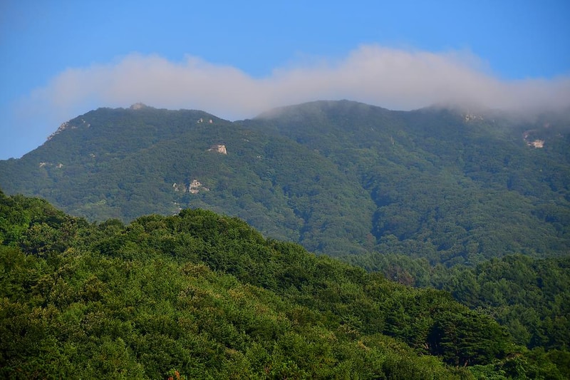 황매산 별쿵 캠핑장 시설 사진 13