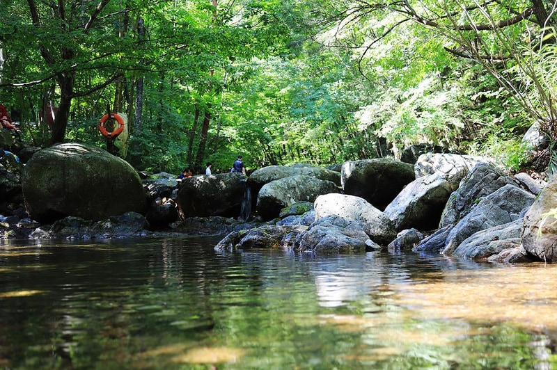 국립용대자연휴양림 시설 사진 8
