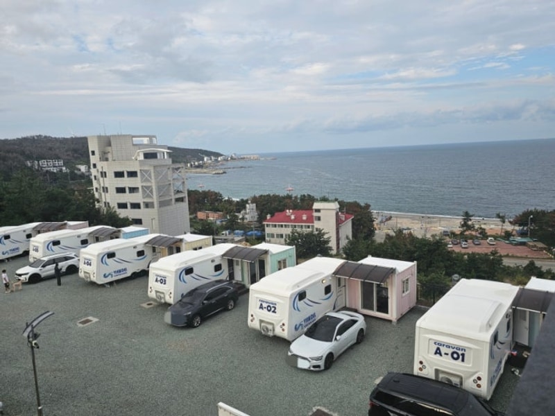 경주 감포 글램핑장 뷰델카라반 펜션 *오징어