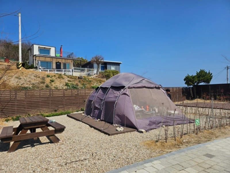 경상북도교육청 영덕오토캠핑장) 바다 전망+저렴한 이용료...