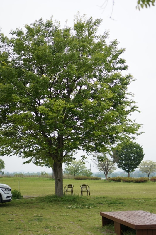 함안 강나루 캠핑장 어린이날 가족캠핑 후기