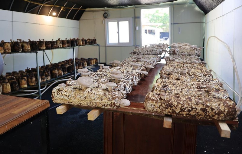 숲에서 놀자 시설 사진 9