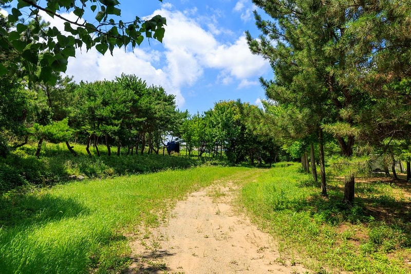 치휴관광농원 야영장 시설 사진 1