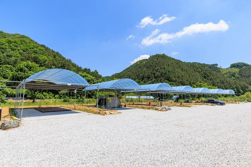 진악산오토캠핑장 시설 사진 12