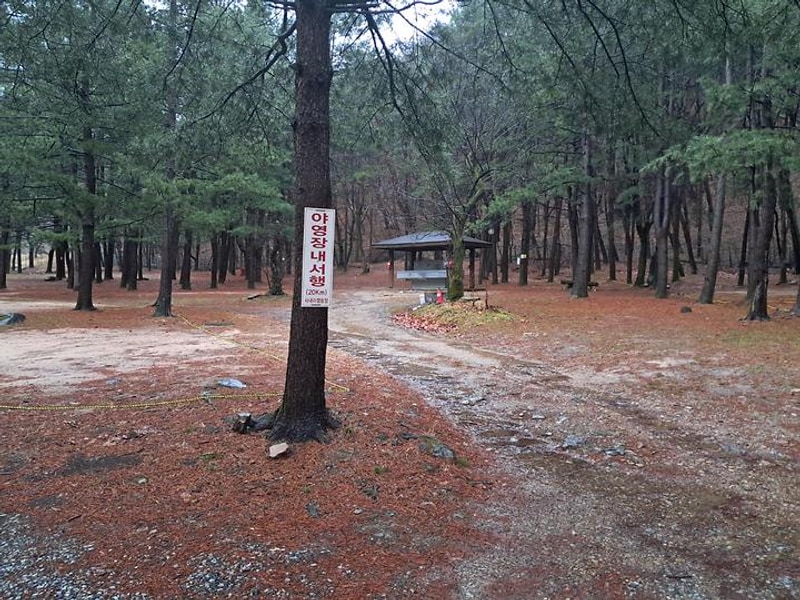 속리산 사내리 캠핑장 대표 사진