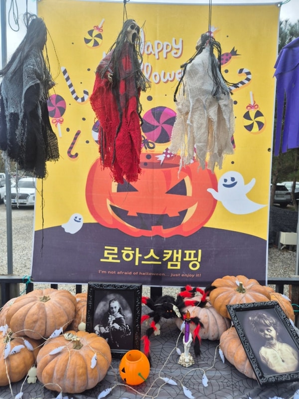 캠핑 아이랑 할로윈 캠핑 키즈 프렌들리 캠핑장 연천 로하스 캠핑