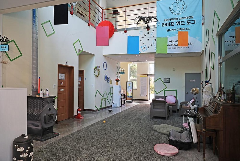 라이프위드도그 시설 사진 13