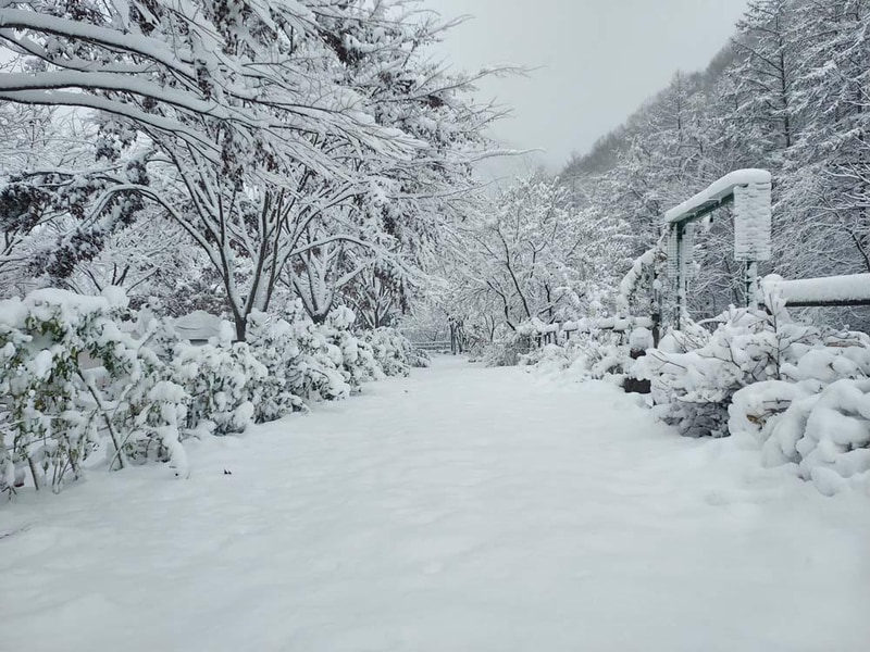 횡성산울림오토캠핑장 시설 사진 8