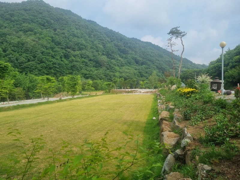 제천캠핑장 라라랜드 제천점에서 가족과 반려견과 함께...