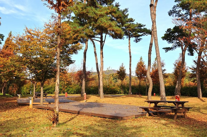 안성맞춤 캠핑장 시설 사진 16