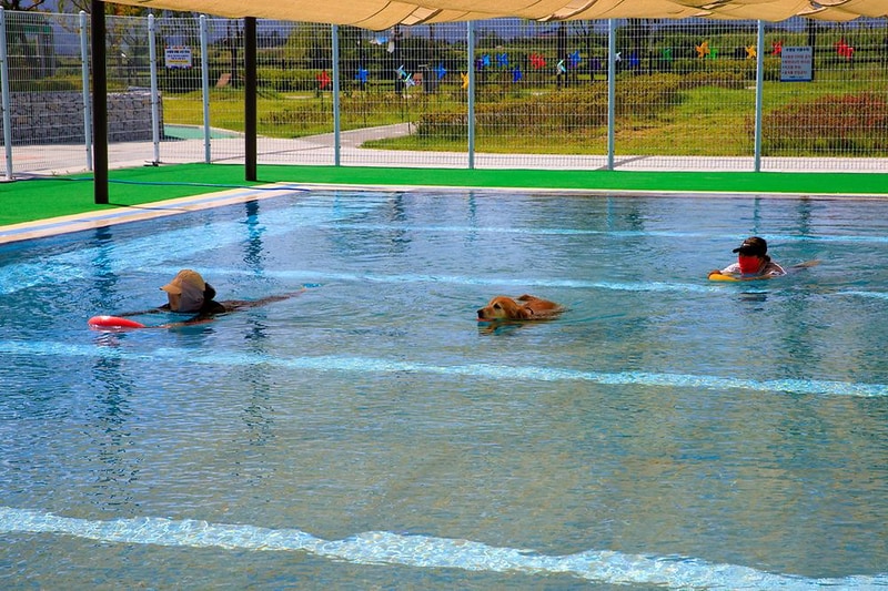 의성펫월드 오토캠핑장 시설 사진 14