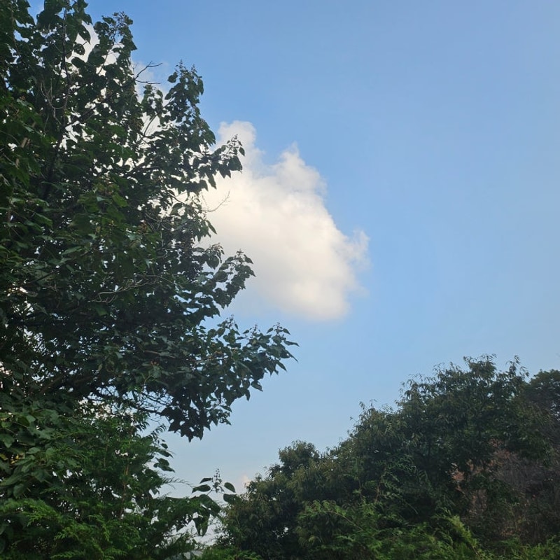 주말 캠핑 여주 캠핑장(캠프여주)