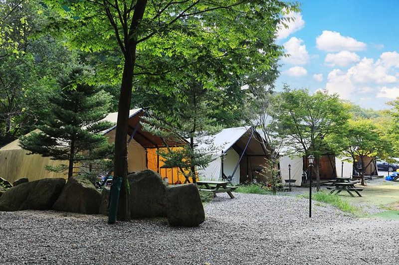 태양힐링숲 대표 사진