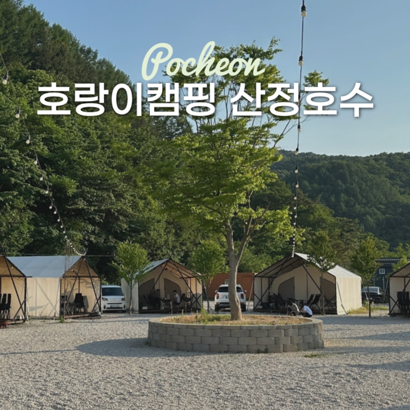 포천 산정호수 깔끔한 신상 글램핑장 추천 호랑이캠핑 내돈내산