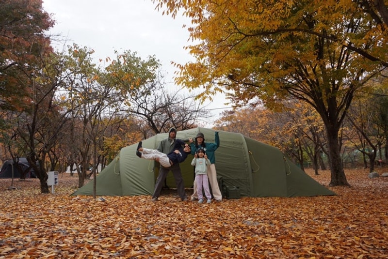경북 청도 캠핑 가을 낙엽 단풍 가득한 자연속캠핑장