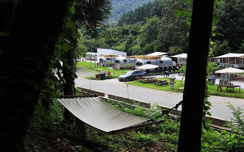 선인장 시설 사진 11