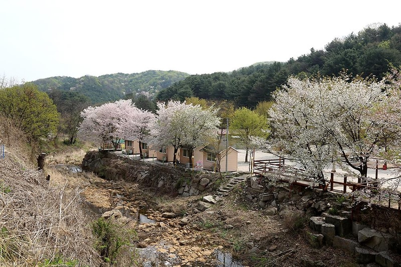 깊이울관광농원(깊이울 캠핑장) 시설 사진 15