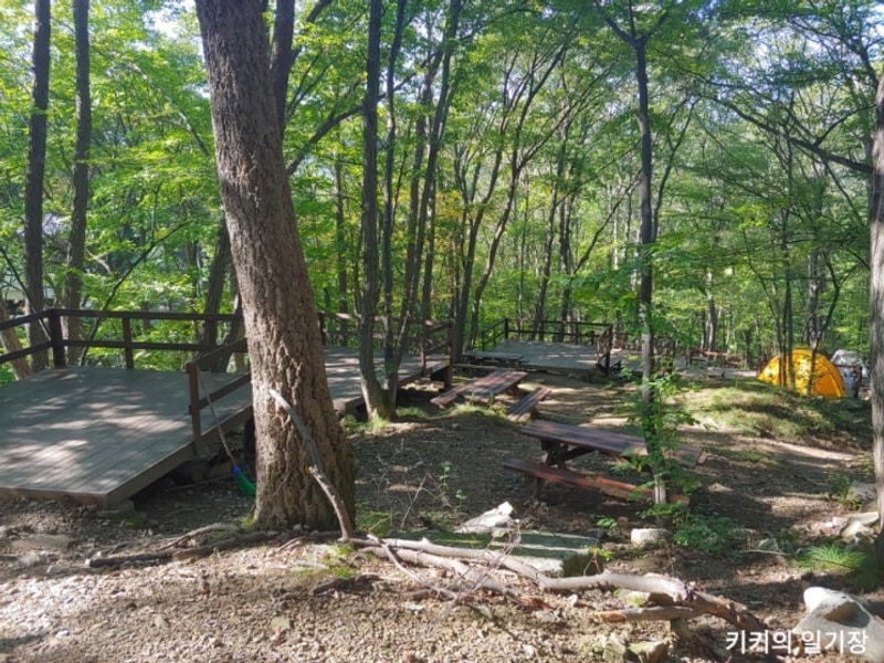 [양산/캠핑] 대운산자연휴양림 야영데크 56번 이용 후기