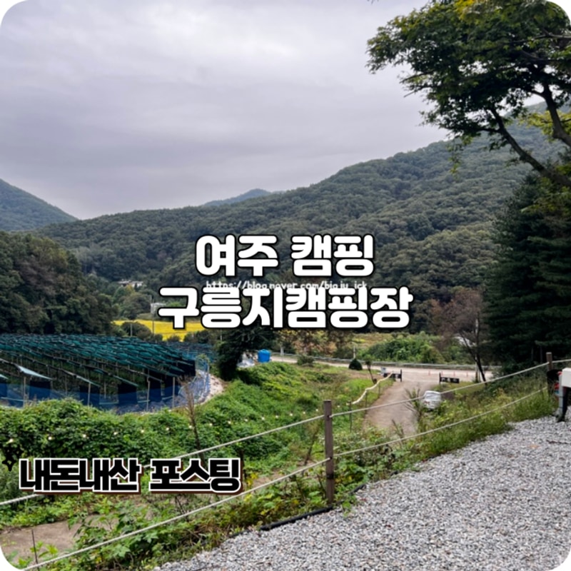 여주 캠핑장 깔끔하고 애견 동반 가능한 구릉지캠핑장 가온터...