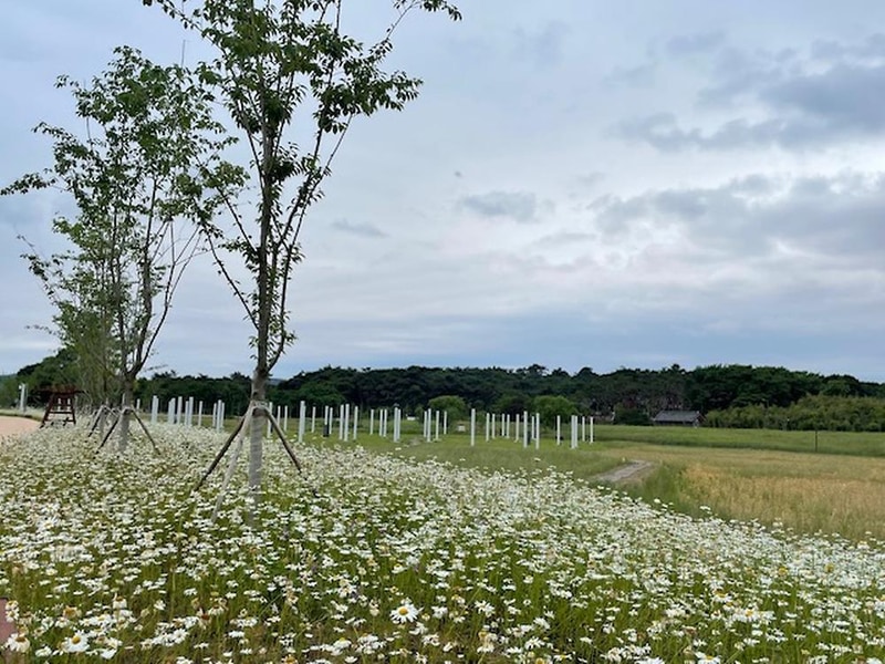 동학농민혁명 기념공원 녹두장군 캠핑장 시설 사진 5