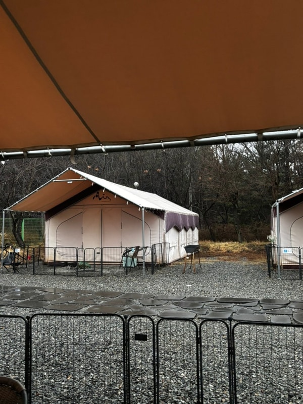 [서산]태안애견동반글램핑 펫앤트리솔직후기