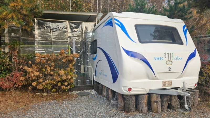 [경기도 포천시] 청계호수 자작나무 숲 캠핑장, 4인 가족...