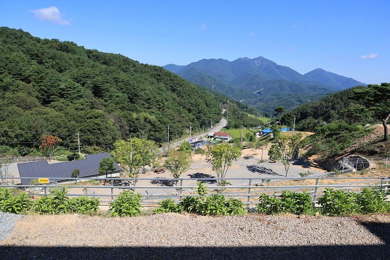 오도산 관광농원 시설 사진 22