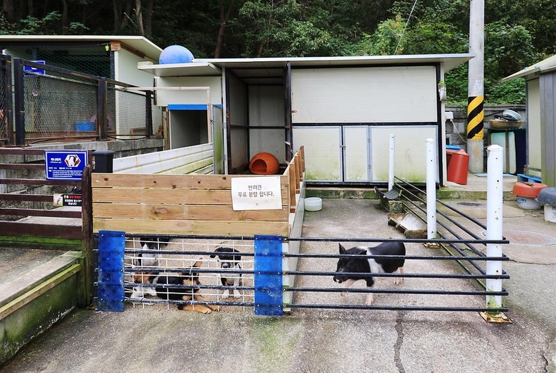 쿠 야영장 시설 사진 14