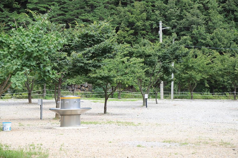 삼척엘림캠핑장 시설 사진 25