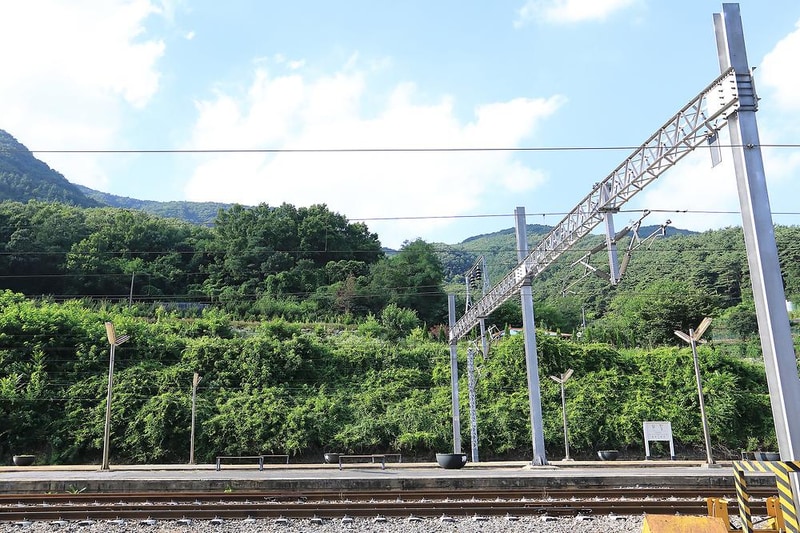 천등산캠핑장 시설 사진 9