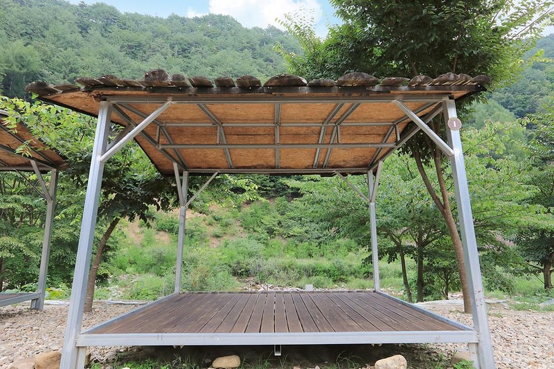 고향펜션캠핑 시설 사진 16