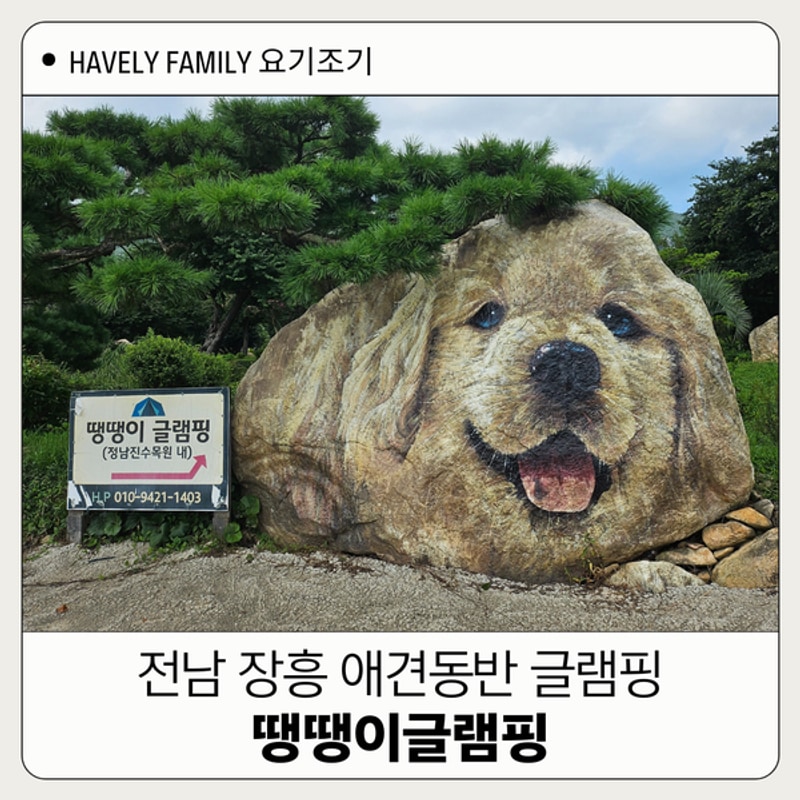 전남 애견 글램핑 장흥 땡땡이글램핑 아이랑 물놀이 다녀온 후기