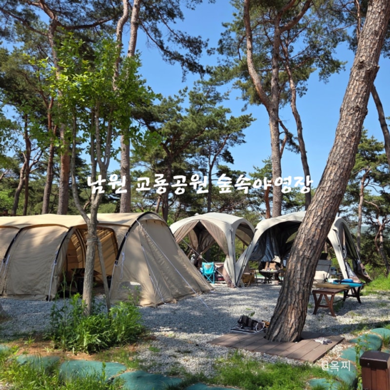 남원 교룡공원 숲속야영장 B사이트 캠핑장 후기