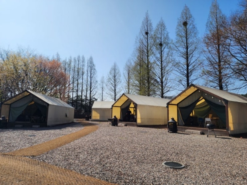 [경기도 파주] 파주 해브펀 캠핑어라운드 | 5살 생일맞이 글램핑