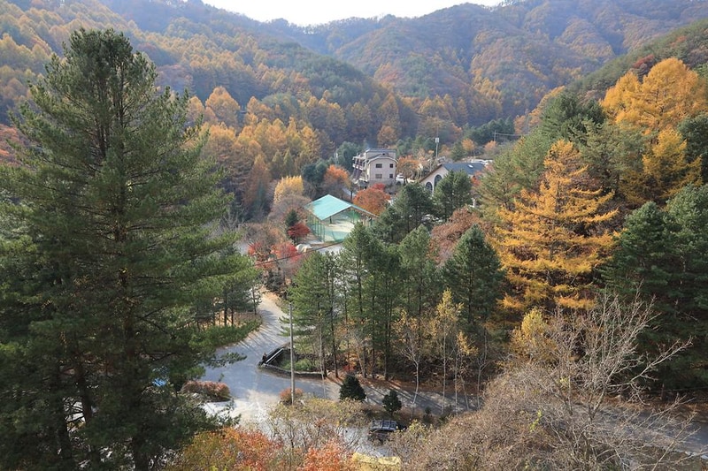 피노키오관광농원 야영장 시설 사진 17