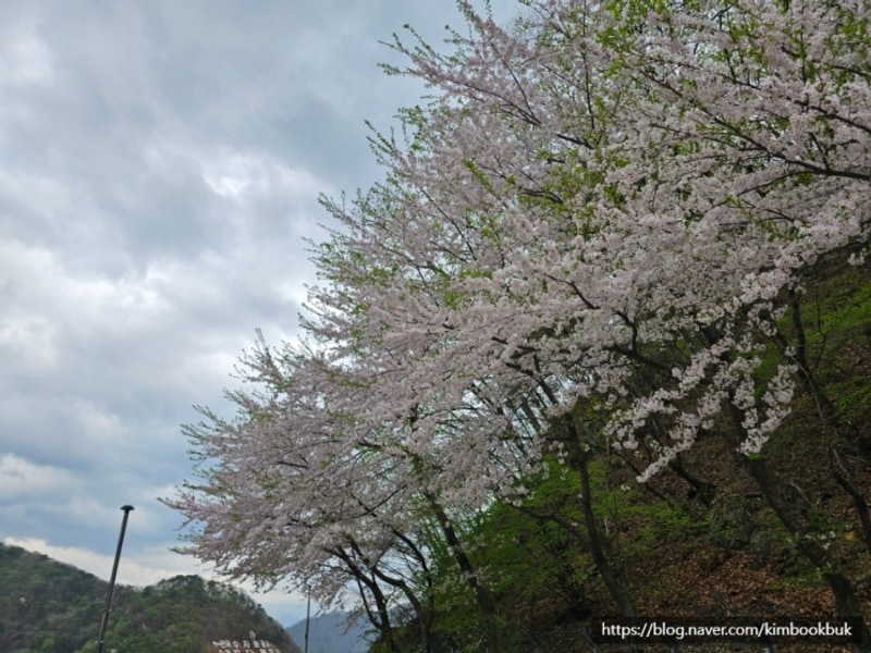 [강원] 춘천 청평사 국민여가 캠핑장, 저렴하고 시설좋은 캠장...
