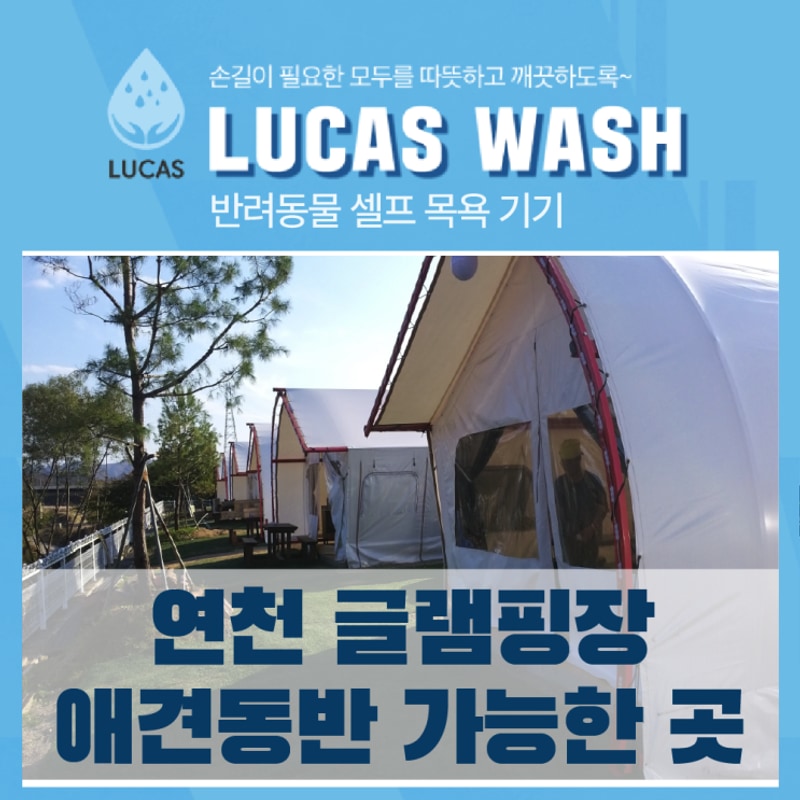 연천 글램핑장 준삼형제글램핑, 애견셀프목욕기 설치 후기